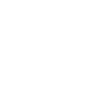 Drawn icon of a lion representing the Leo zodiac